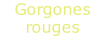 Gorgones rouges